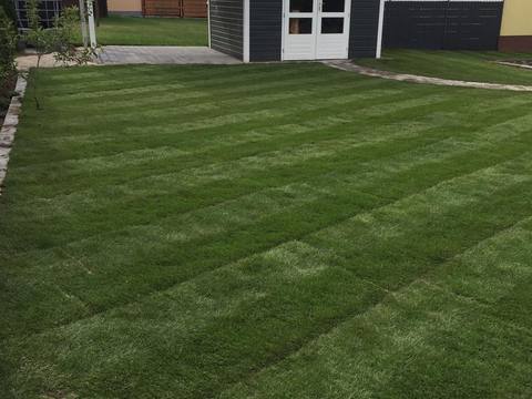 Ausgeführtes Gartenprojekt, Bild 61