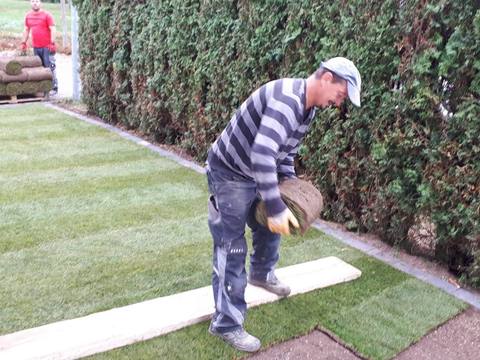 Ausgeführtes Gartenprojekt, Bild 67