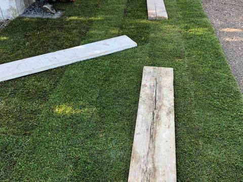 Ausgeführtes Gartenprojekt, Bild 69