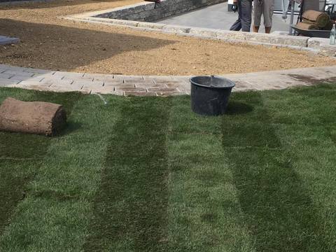 Ausgeführtes Gartenprojekt, Bild 73